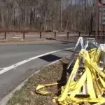 5 hermanos mueren al estrellarse contra un árbol en Nueva York