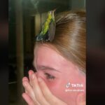 Joven llora porque tras la muerte de su perrita la visitó un colibrí