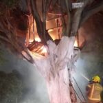 Famosa casa del árbol de Medellín es destruida por incendio este domingo 26