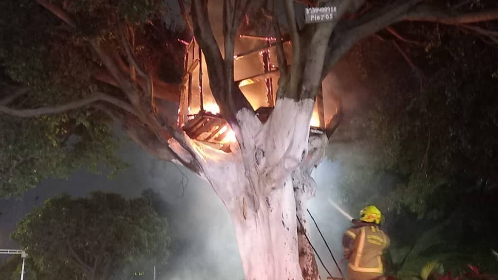 Famosa casa del árbol de Medellín es destruida por incendio este domingo 26