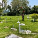 Profanación de tumba en cementerio de Timaná, Huila