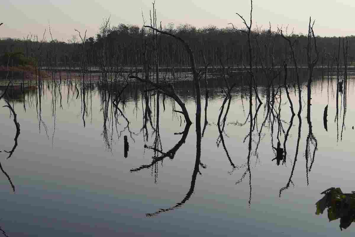 15 ciudades en alto peligro de desaparecer por el cambio climático