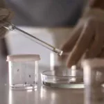 Argentina aprueba el uso de vacuna japonesa para el dengue