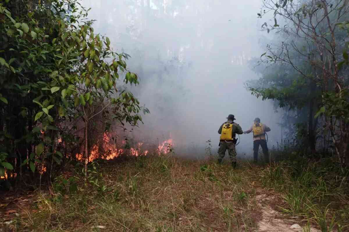 Brigadas y bomberos combaten un gran incendio en una reserva forestal de Panamá