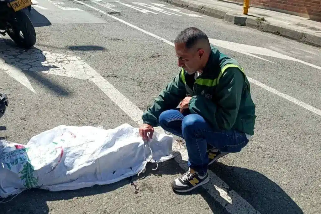 Carro del VAR arrolla a un perro en Itagüí: Mediapro revisará el caso------Fiscalía investiga el asesinato de un perro en Itagüí por parte de un conductor