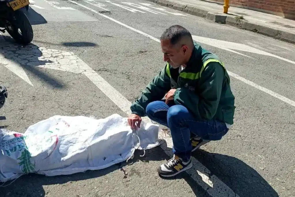 Fiscalía investiga el asesinato de un perro en Itagüí por parte de un conductor