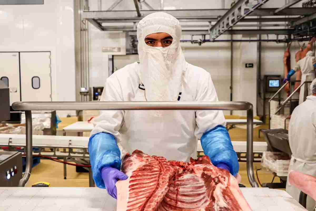 Crecen un 10,7 % exportaciones agro y pesqueras de México en primer bimestre