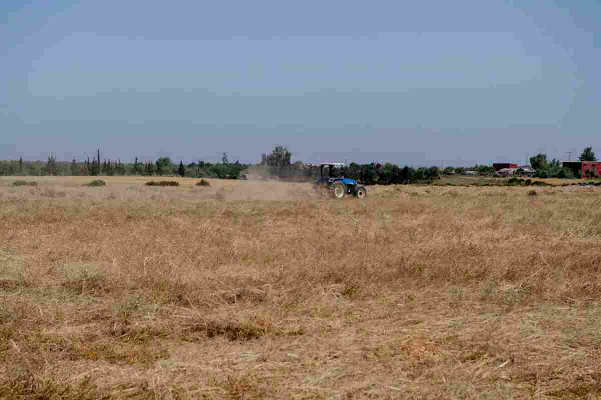 El calor y la falta de lluvias comprometen la campaña agrícola en Marruecos