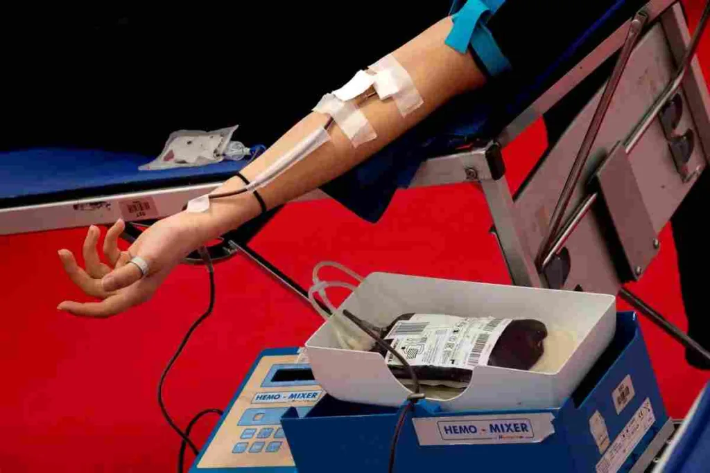 El sexo del donante de sangre no influye en la supervivencia del receptor