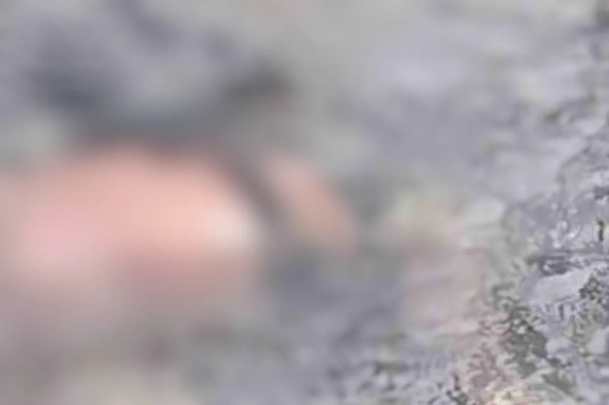 Conmoción en Tierralta: Encuentran a mujer desaparecida sin vida en el río Sinú