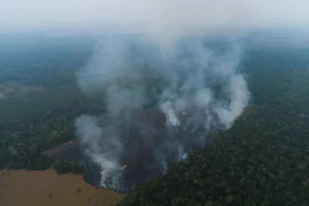 La Amazonía brasileña perdió el 19 % de su superficie por incendios desde 1985