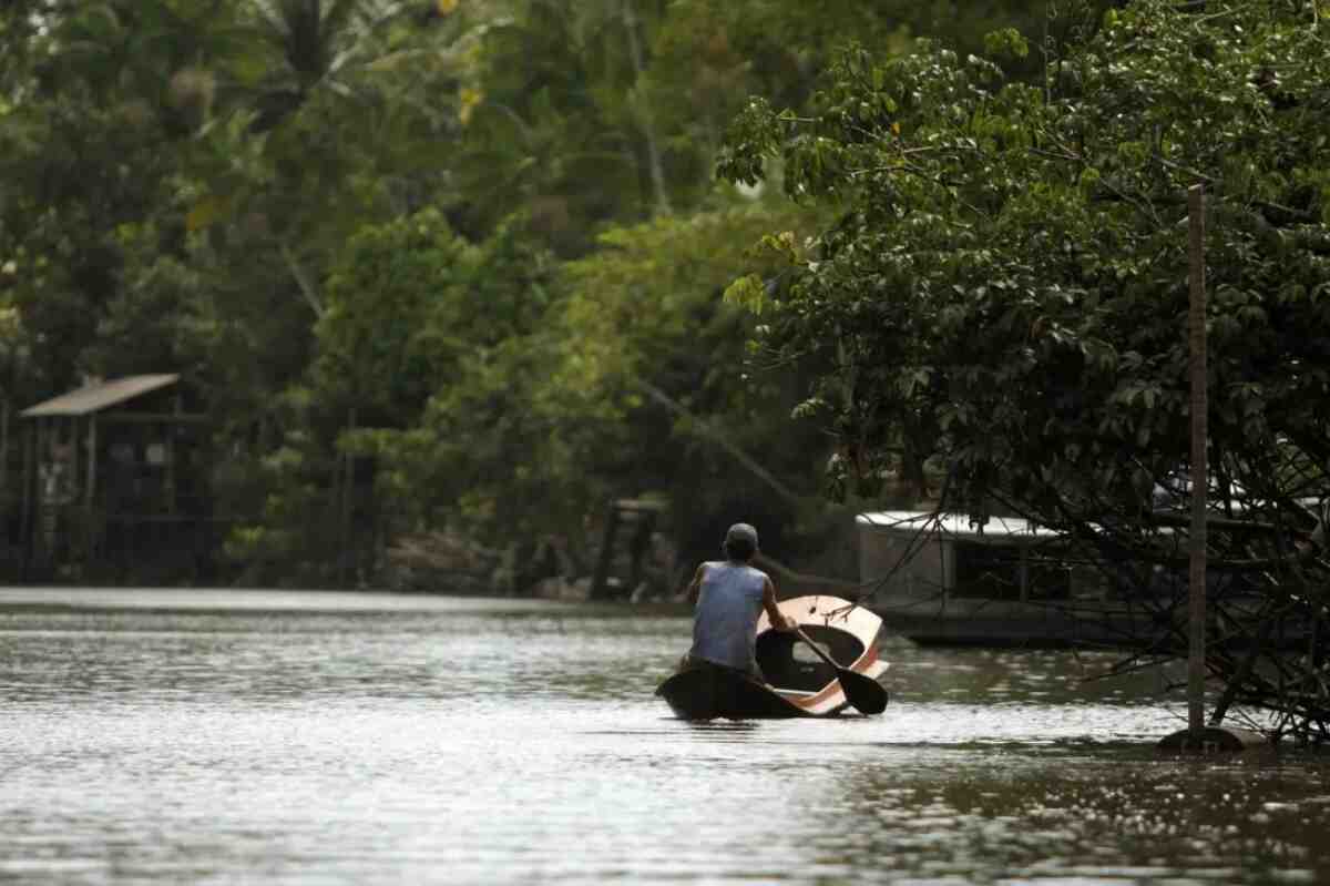 La gestión indígena de la Amazonía, clave para la economía y la salud
