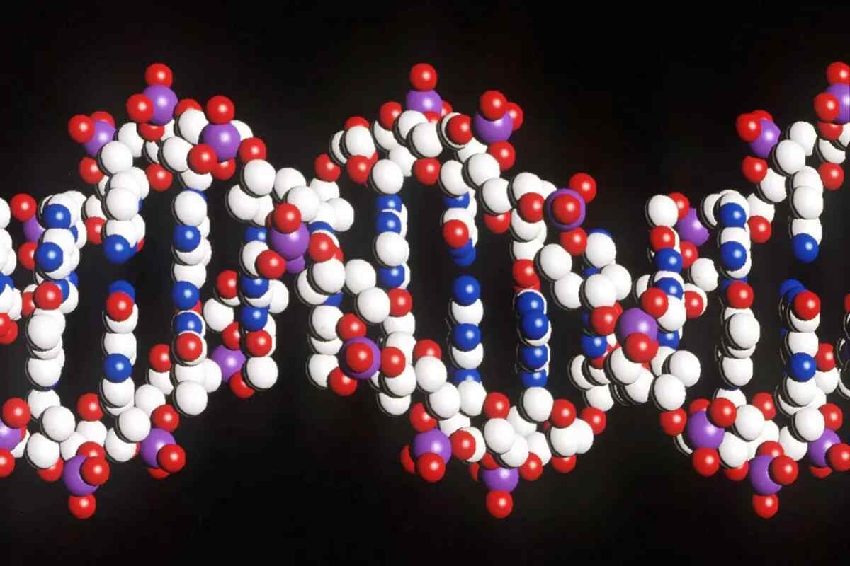Nuevos documentos dan a Rosalind Franklin un papel activo en el ADN