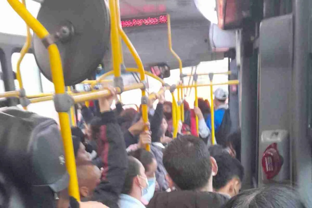 ladrón muerto. Robó en TransMilenio y pagó con su vida: así fue el fatal accidente