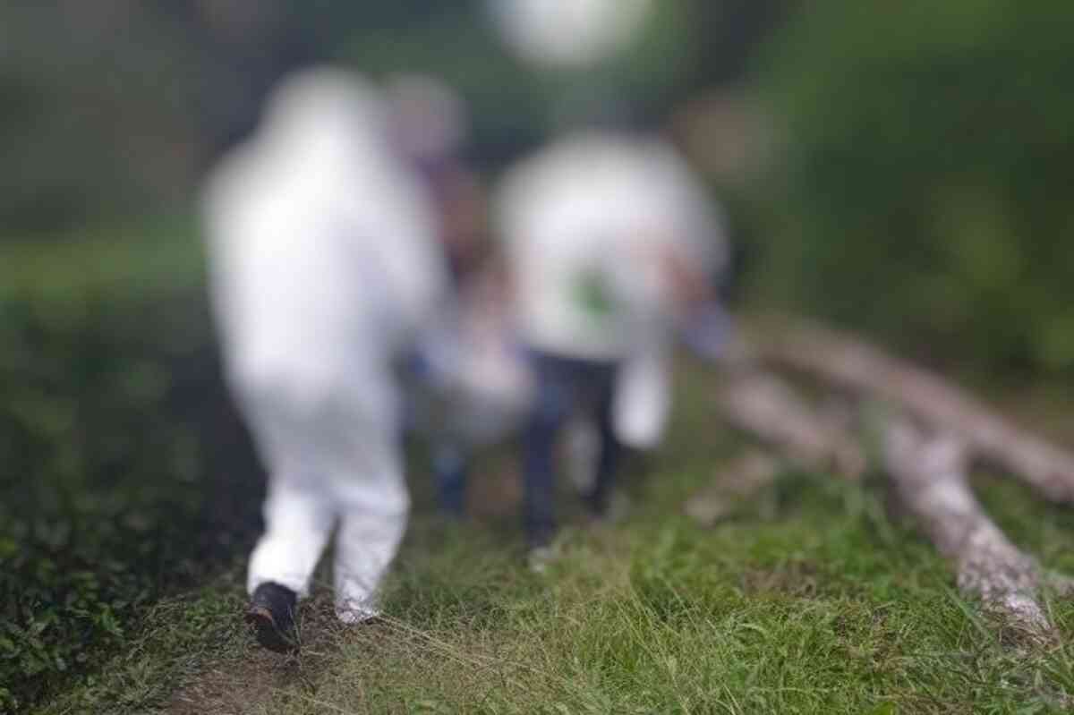 Un crimen atroz conmociona a Piendamó, Cauca: asesinan a padre e hijo y secuestran a menor