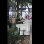 Un paquete sospechoso en el parque Obrero de Itagüí moviliza a la policía