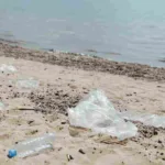 plásticos en los océanos