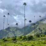 Disney invita a los viajeros a conocer los ambientes de Encanto en Colombia