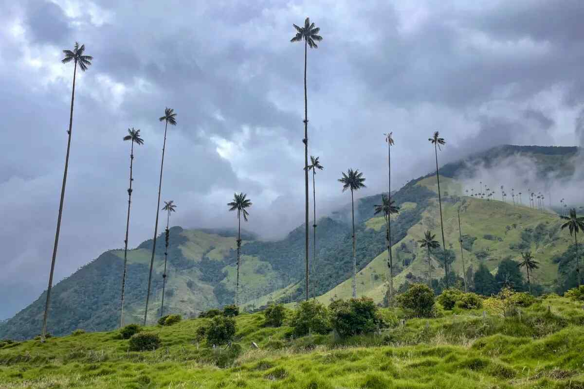 Disney invita a los viajeros a conocer los ambientes de Encanto en Colombia