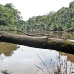 Ecuador celebrará el mes de la biodiversidad con foros y actos culturales