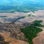 El Reino Unido anuncia 16 millones de dólares para combatir la deforestación en Colombia