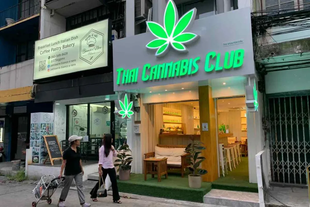El lucrativo negocio del cannabis ahoga las elecciones tailandesas en la controversia