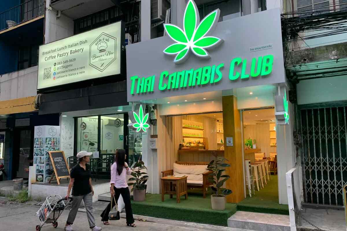 El lucrativo negocio del cannabis ahoga las elecciones tailandesas en la controversia