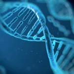 Estudio revela una continuidad asombrosa del ADN de la población prehispánica en México