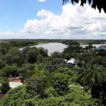 La deforestación en la Amazonía colombiana disminuyó un 25 % durante el 2022