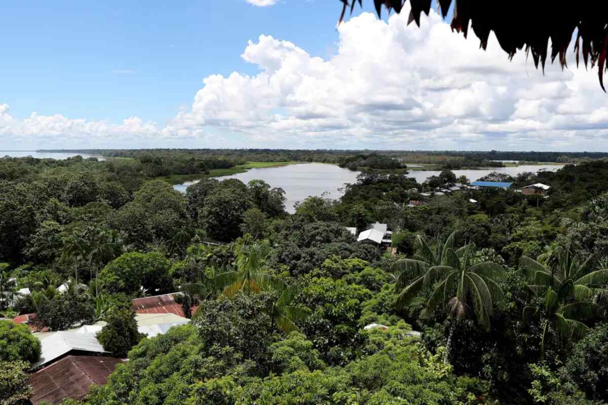 La deforestación en la Amazonía colombiana disminuyó un 25 % durante el 2022