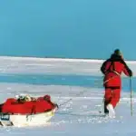 OMM advierte sobre rápidos cambios en los Polos, gigante dormido del cambio climático