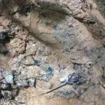 Un mes buscando a cuatro niños perdidos en la selva colombiana - Estamos supremamente cerca
