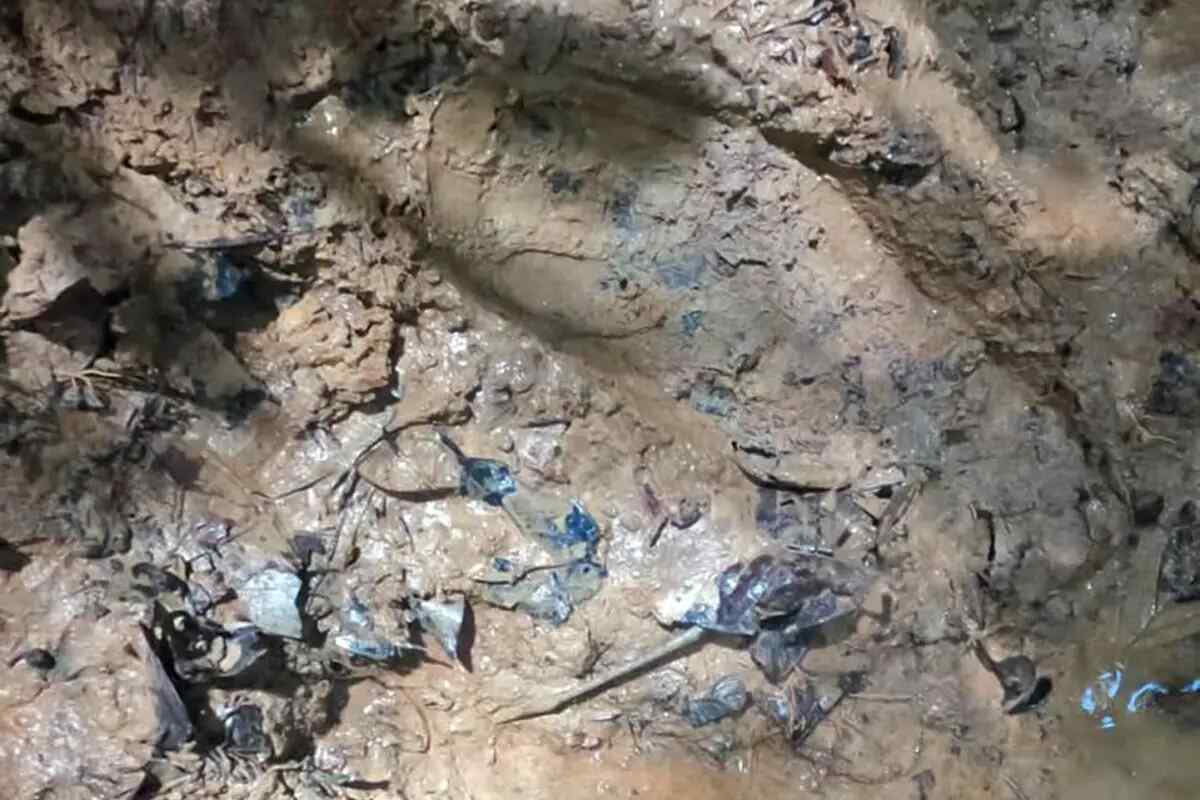 Un mes buscando a cuatro niños perdidos en la selva colombiana - Estamos supremamente cerca