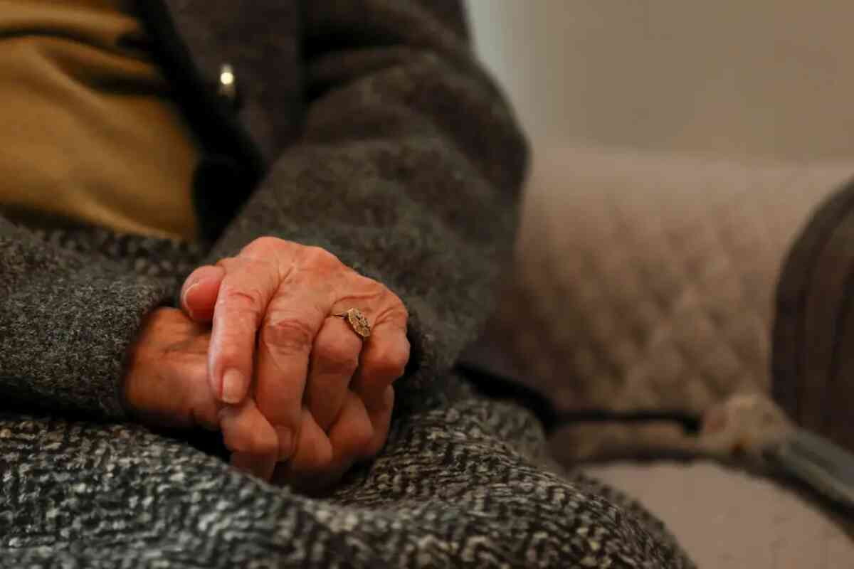 Un nuevo biomarcador sanguíneo permite anticipar si un anciano desarrollará alzhéimer- alimentacion contra alzheimer