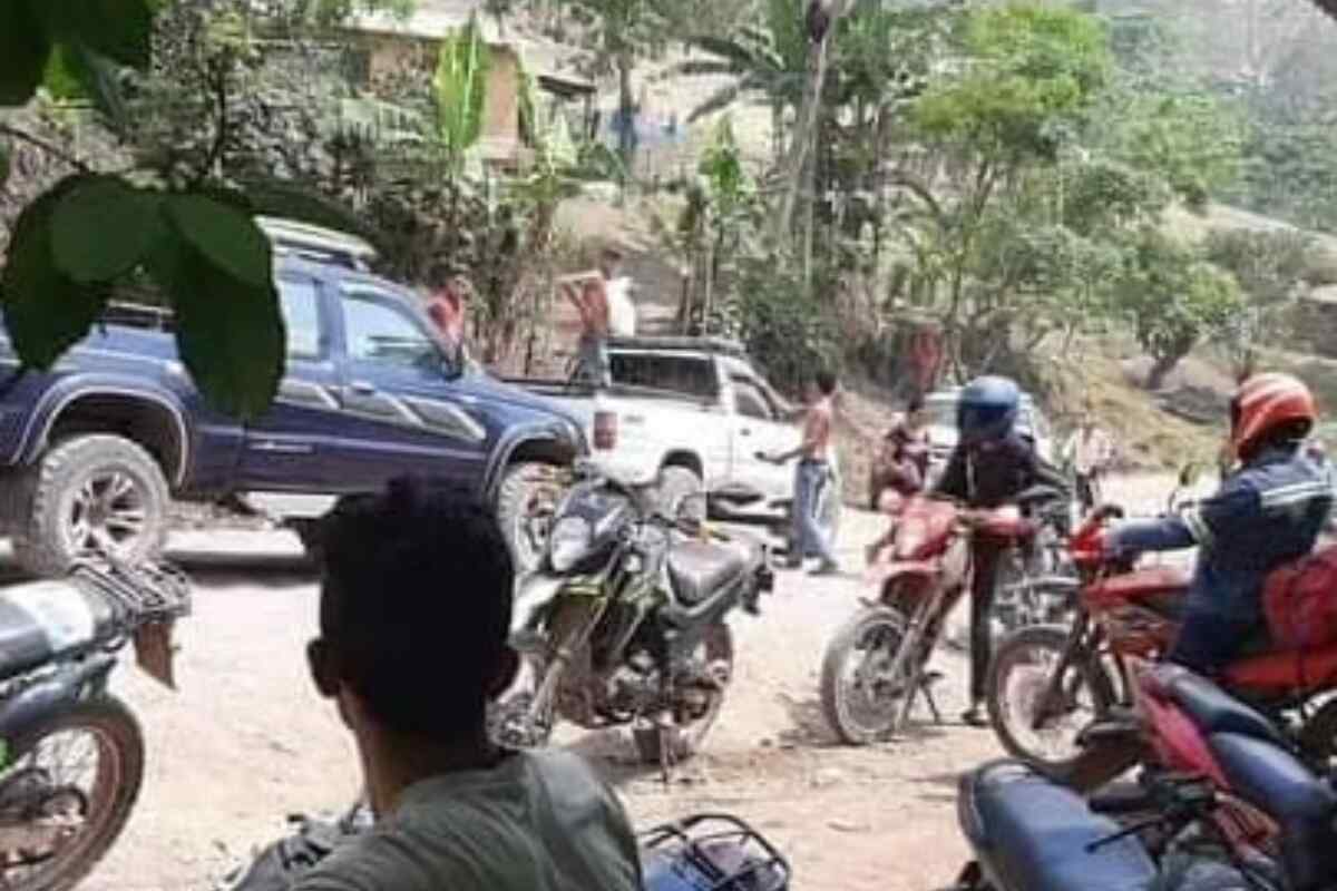 Ataque de abejas africanas deja 4 muertos y decenas de heridos en Nicaragua