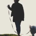 Aprende cómo entrenar a tu perro para pasear sin jalar la correa