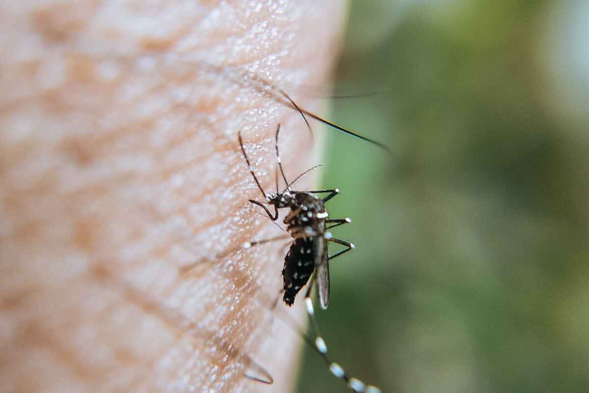 Dengue en Medellín: síntomas, prevención y recomendaciones ante el aumento de casos