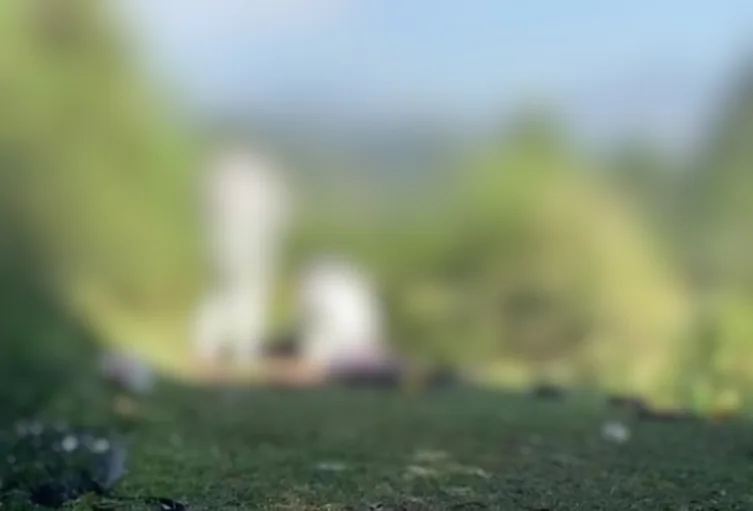¿Quién mató a Luz Mary Ortega Aguirre? La historia de un feminicidio en santa rosa de osos