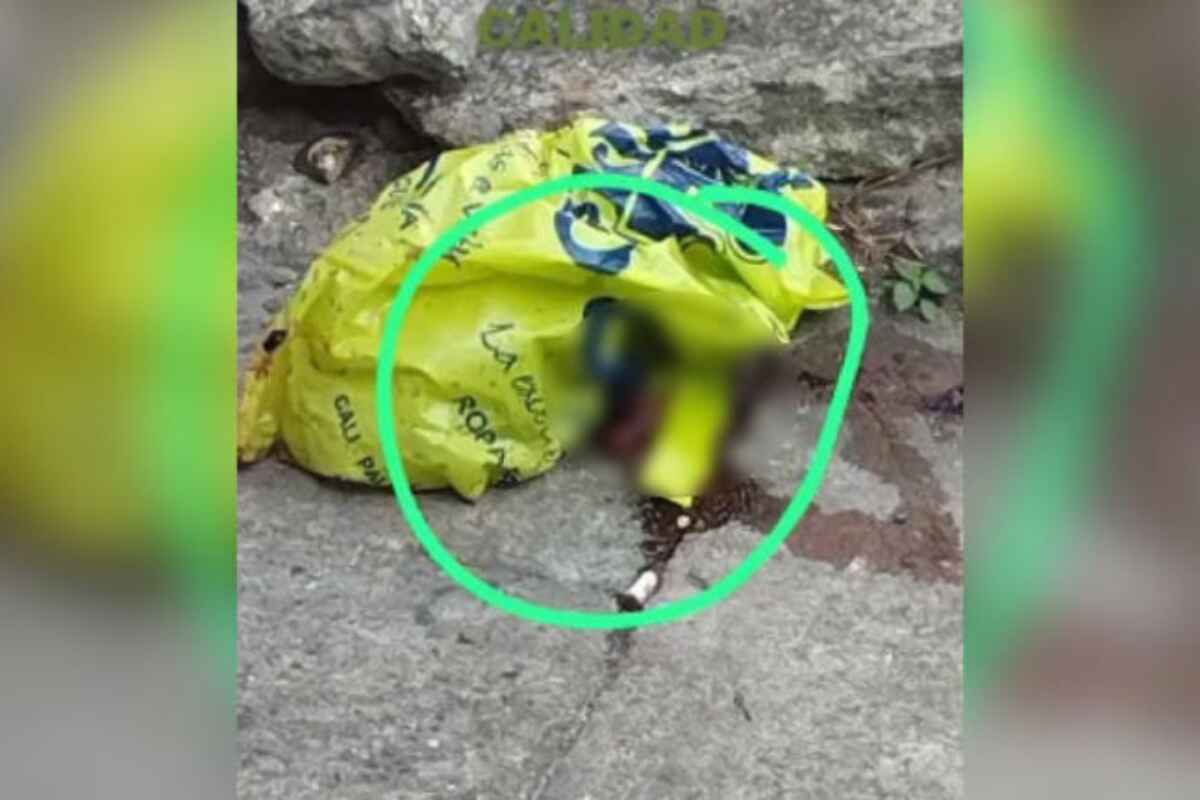 Hallan feto de 3 meses de gestación en una calle del barrio San Vicente de Cali