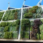 El creciente impacto positivo de los jardines verticales en las ciudades