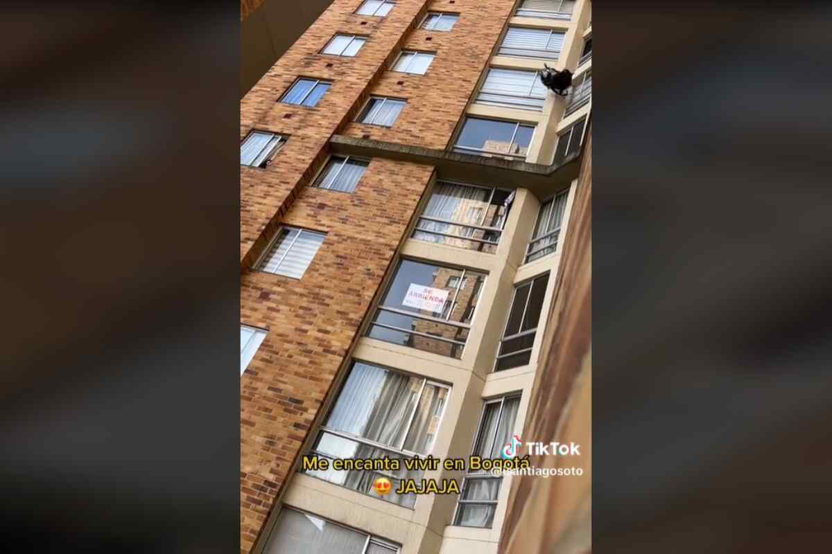 Video viral en TikTok muestra a mujer botando objetos por la ventana en Bogotá