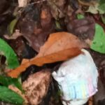 Hallan objetos de los niños desaparecidos en el Guaviare tras accidente aéreo