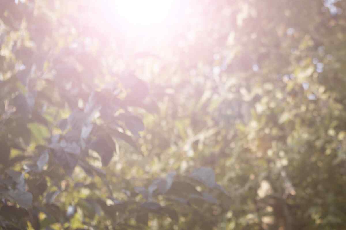 ¡Cuidado con el calor! Ideam explica la ausencia de lluvias y su impacto en las temperaturas en Colombia