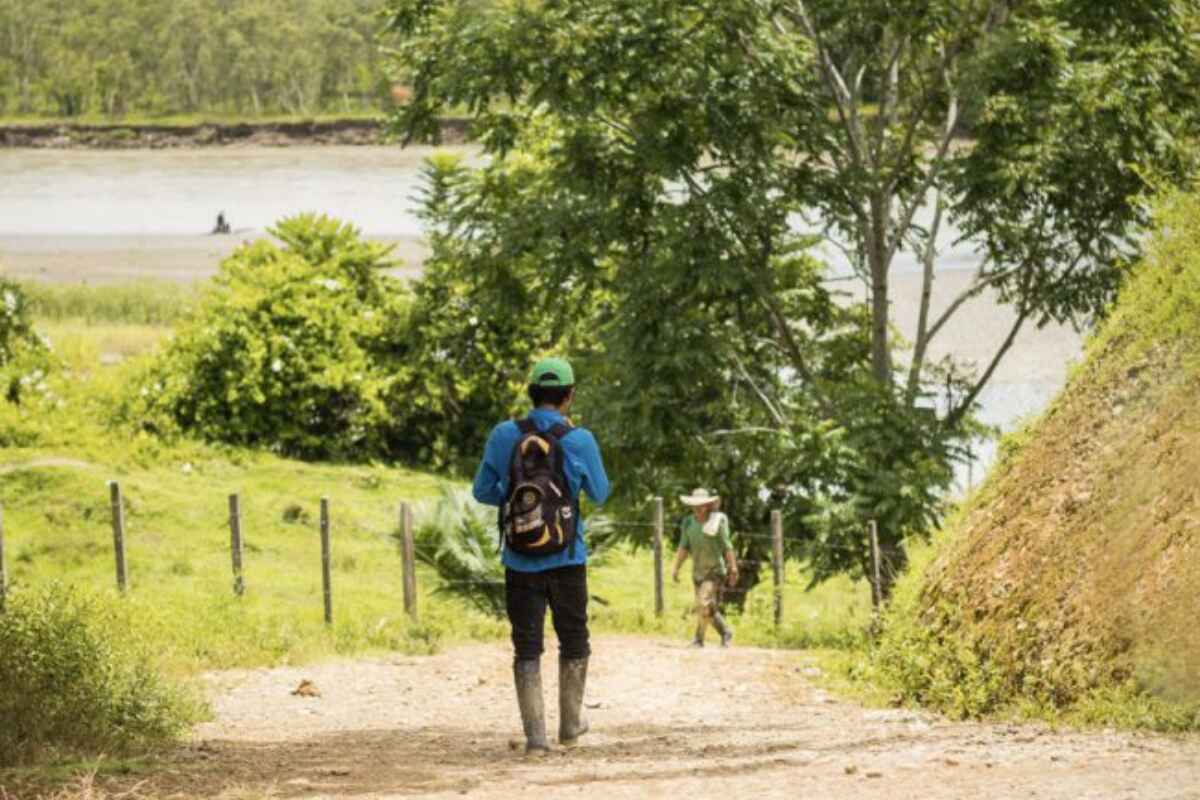 Disidencias de las Farc: ¿Qué pasa en el sur de Córdoba?