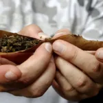 Cannabis recreativo, a un paso de la aprobación de una ley que permite su uso en Colombia