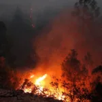 Científicos relacionan los incendios forestales estivales de California con el cambio climático