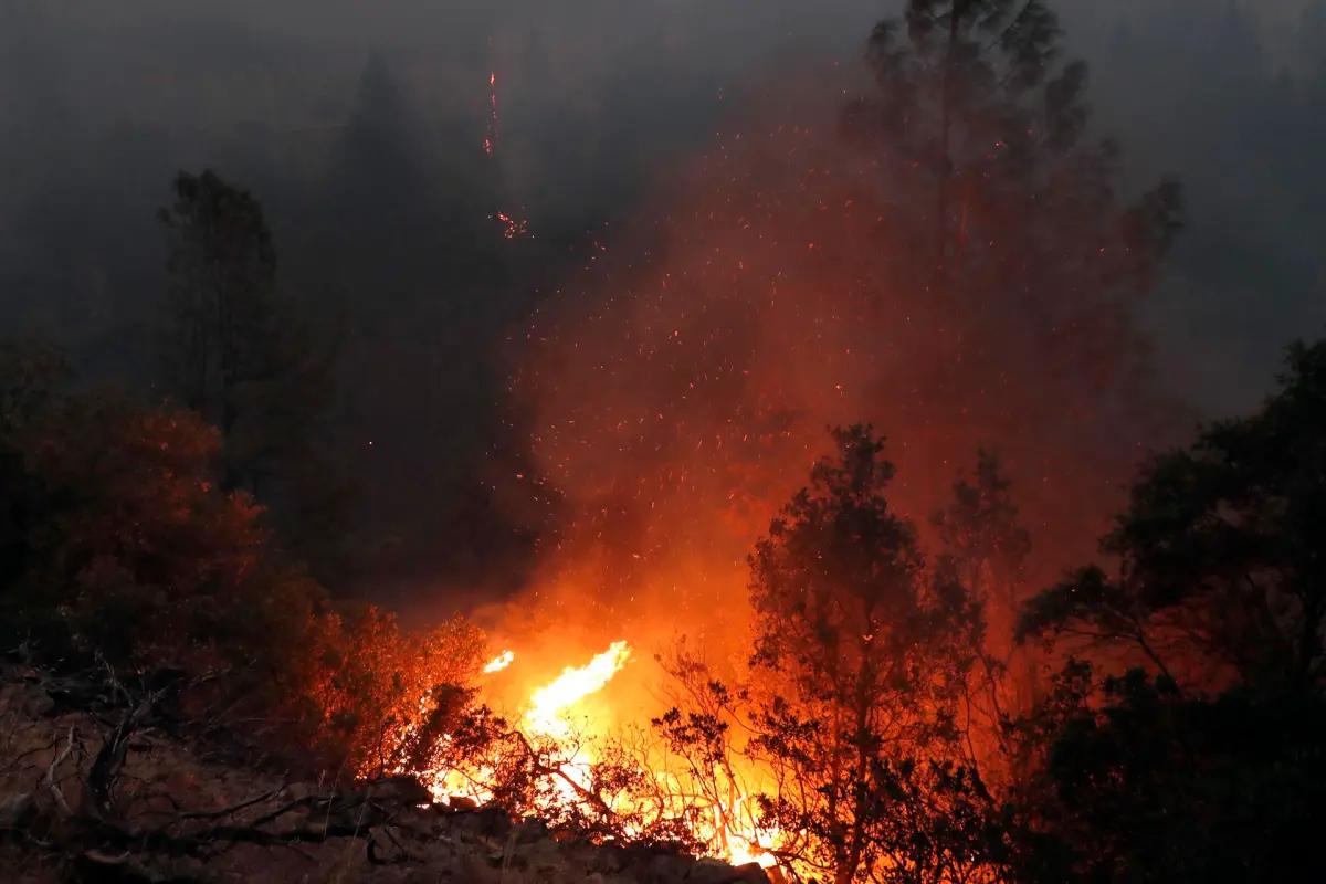 Científicos relacionan los incendios forestales estivales de California con el cambio climático