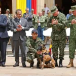 Colombia condecora a Drugia, madre del perro Wilson que se perdió en la búsqueda de menores