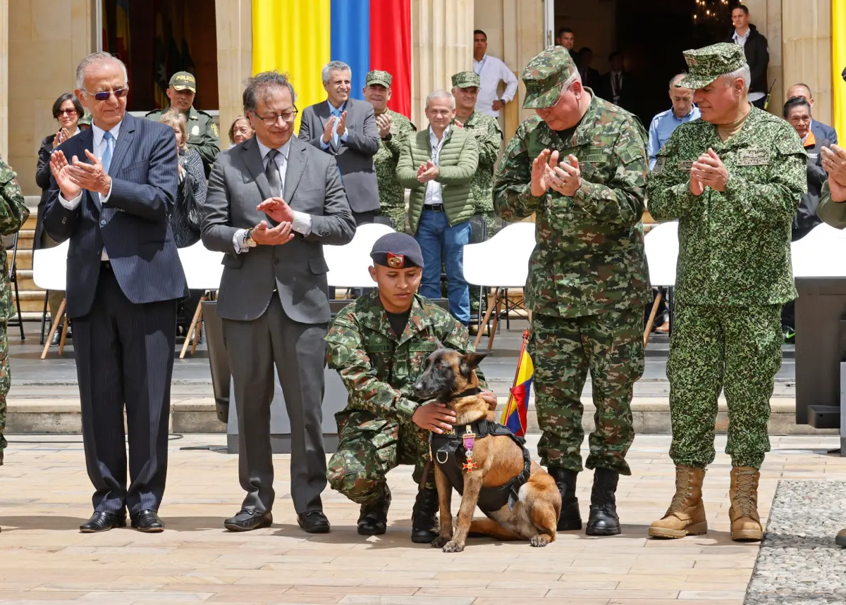 Colombia condecora a Drugia, madre del perro Wilson que se perdió en la búsqueda de menores
