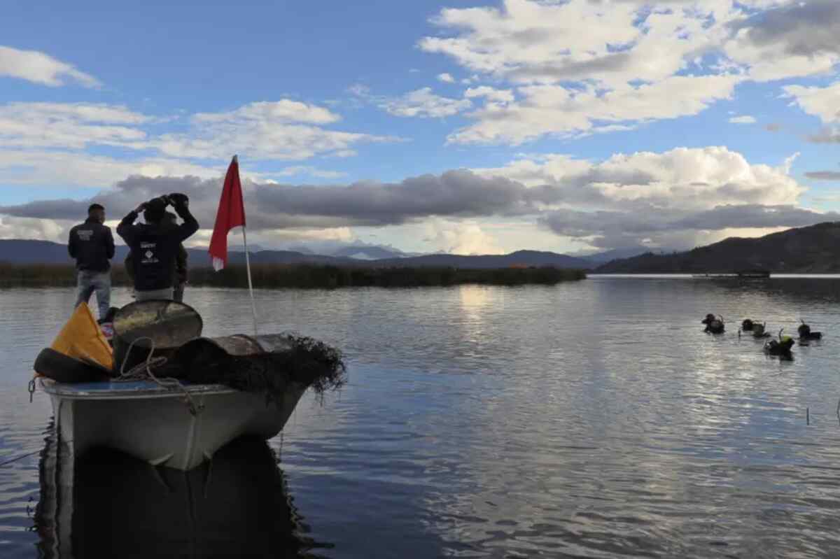 Colombia, en busca de soluciones para conservar el medioambiente y reducir plásticos
